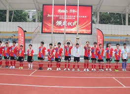 世界杯门票冷淡销售背后的经济学解析